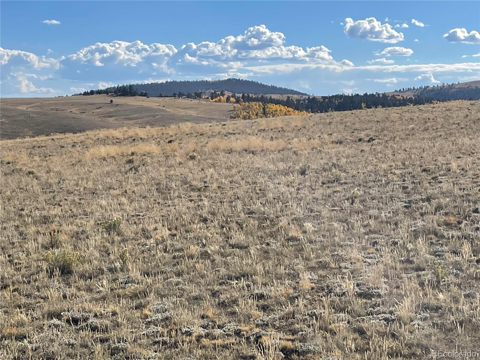 825 Rhyolite Way, Como, CO 80432, ,Land,For Sale,Rhyolite,REC5470701