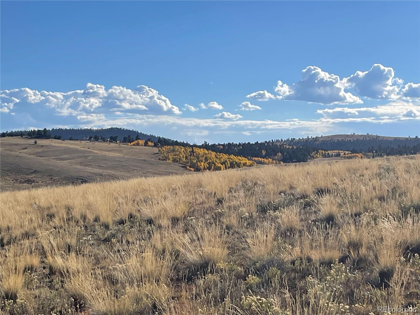 825 Rhyolite Way, Como, CO 80432, ,Land,For Sale,Rhyolite,REC5470701