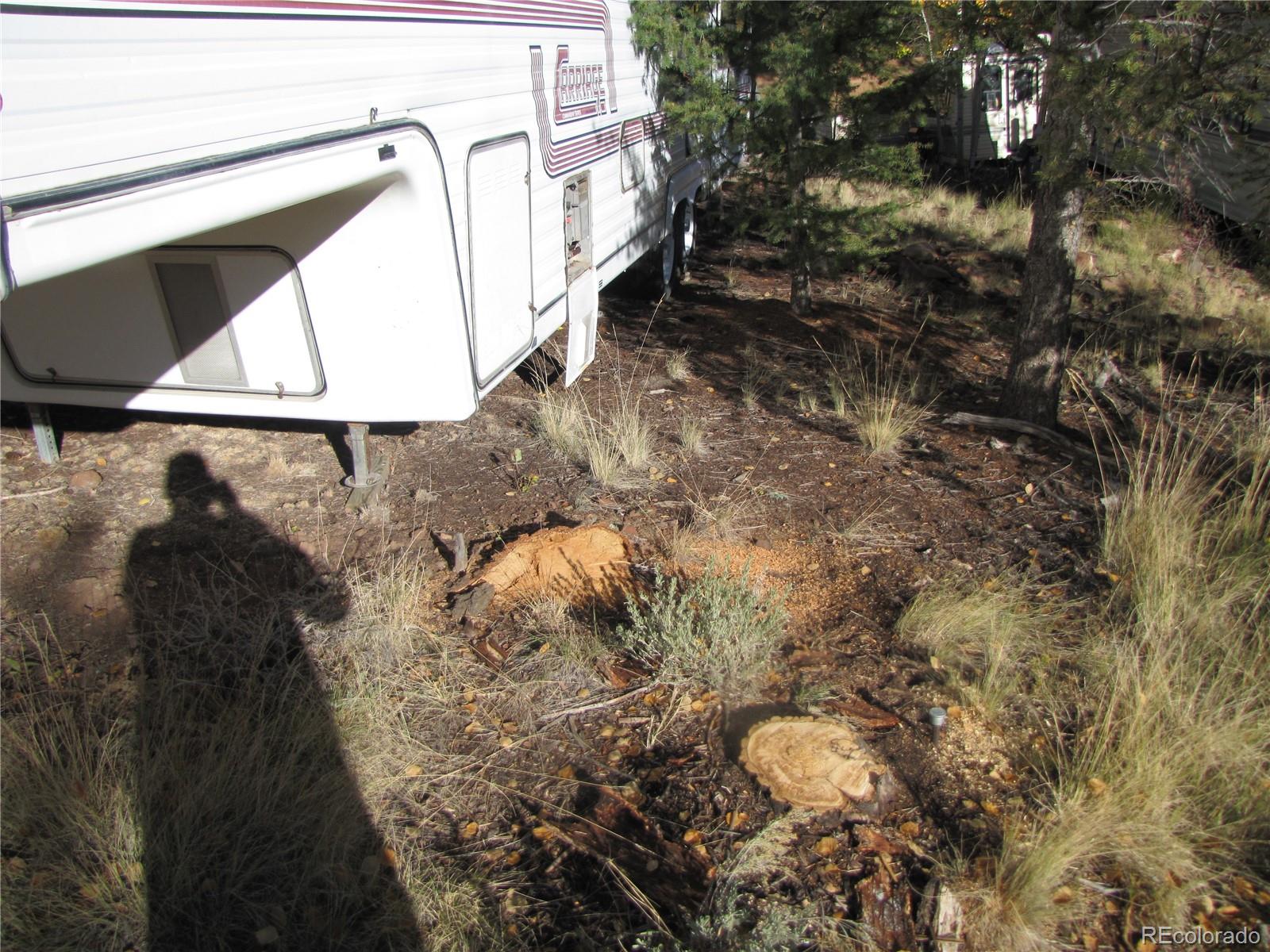 1839 Narrow Gauge Road, Hartsel, CO 80449, ,Land,For Sale,Narrow Gauge,REC9307306