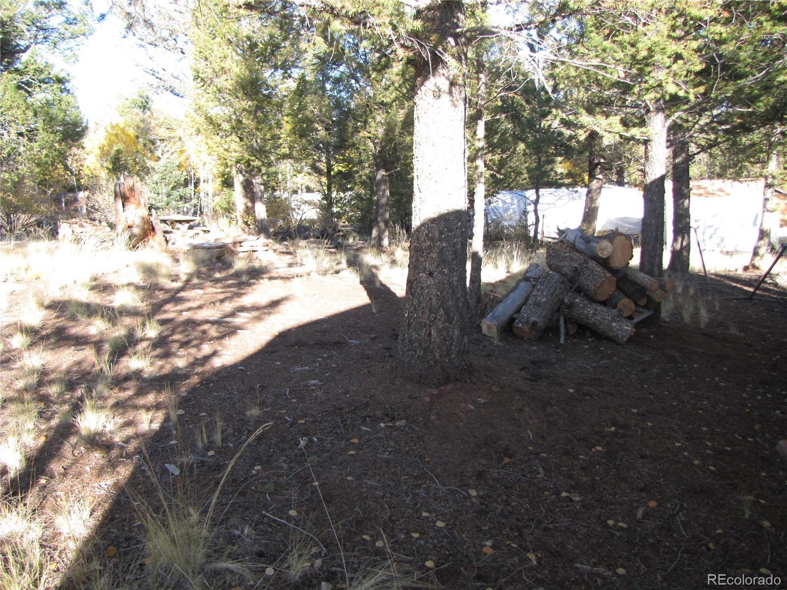 1839 Narrow Gauge Road, Hartsel, CO 80449, ,Land,For Sale,Narrow Gauge,REC9307306