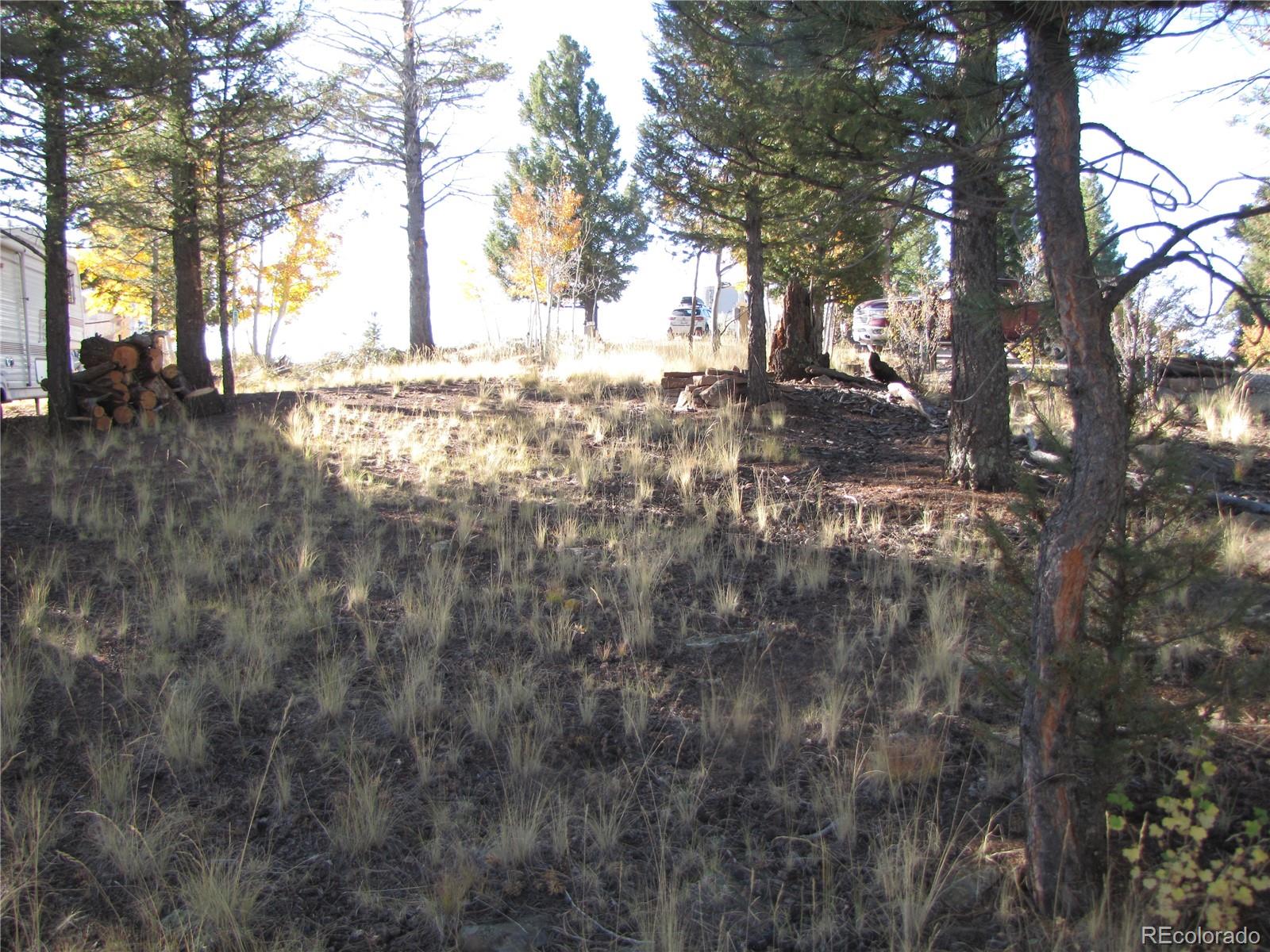 1839 Narrow Gauge Road, Hartsel, CO 80449, ,Land,For Sale,Narrow Gauge,REC9307306