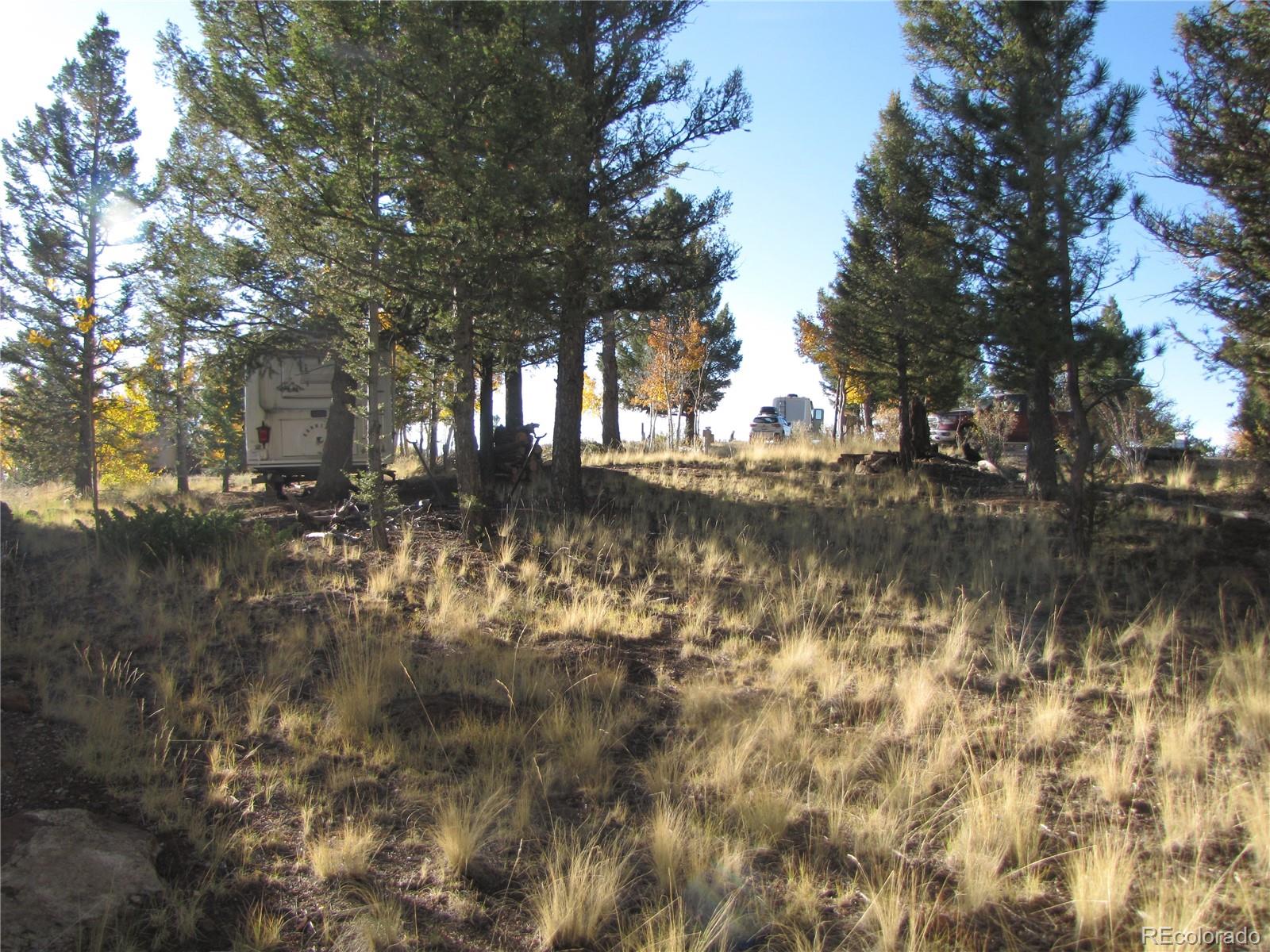 1839 Narrow Gauge Road, Hartsel, CO 80449, ,Land,For Sale,Narrow Gauge,REC9307306