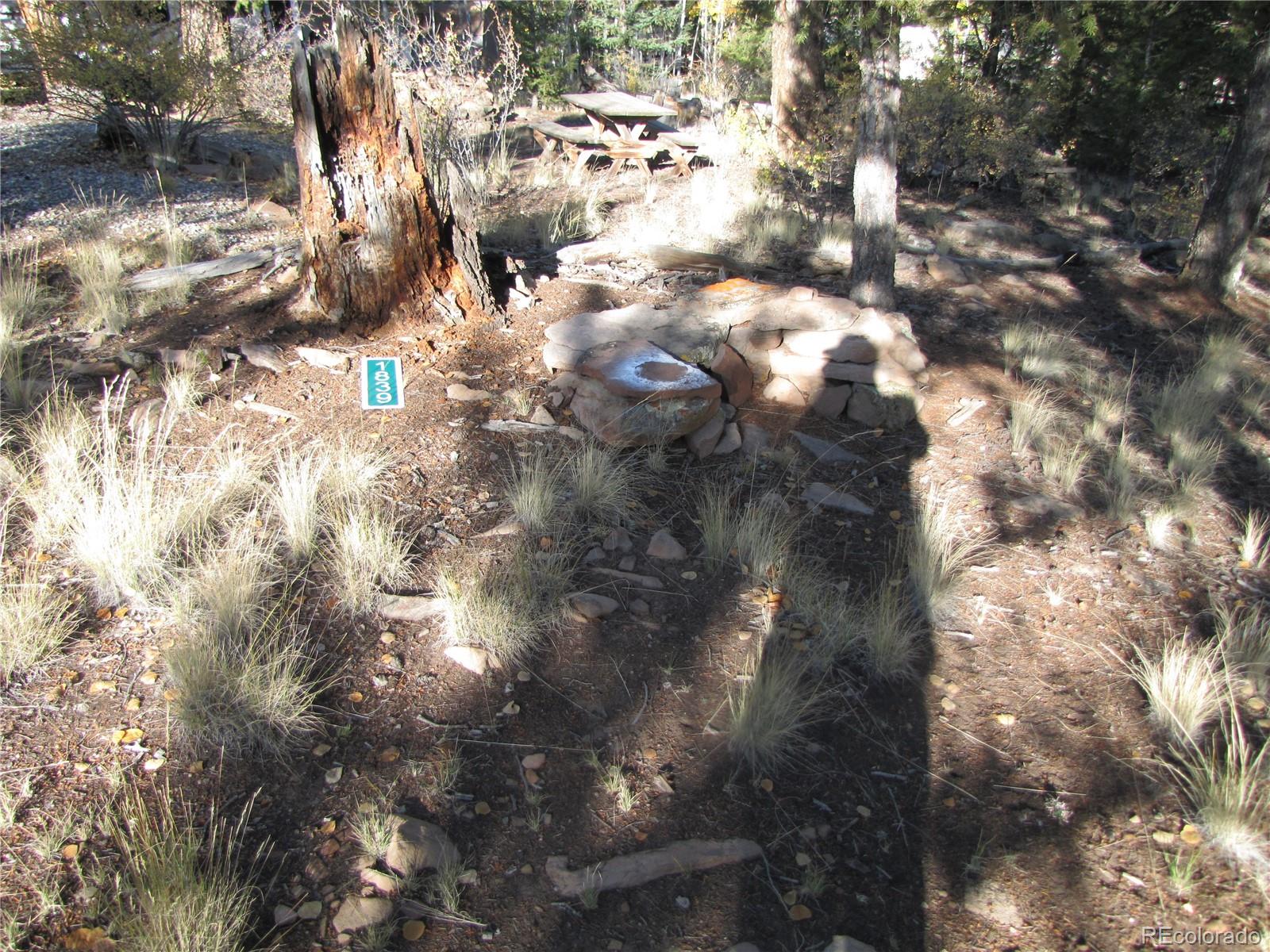 1839 Narrow Gauge Road, Hartsel, CO 80449, ,Land,For Sale,Narrow Gauge,REC9307306