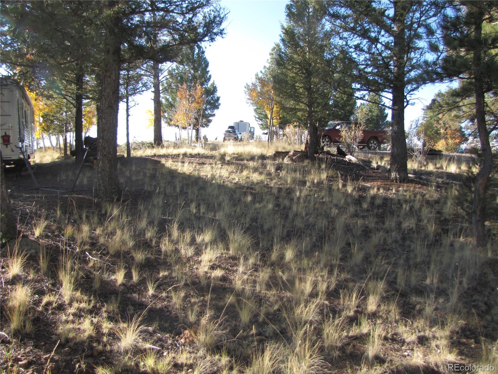 1839 Narrow Gauge Road, Hartsel, CO 80449, ,Land,For Sale,Narrow Gauge,REC9307306