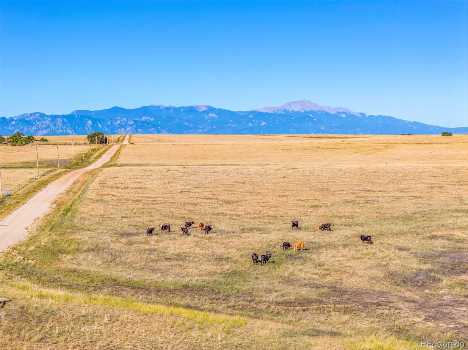 18105 Enoch Road, Colorado Springs, CO 80930, 4 Bedrooms Bedrooms, ,2 BathroomsBathrooms,Residential,For Sale,Enoch,REC4695663