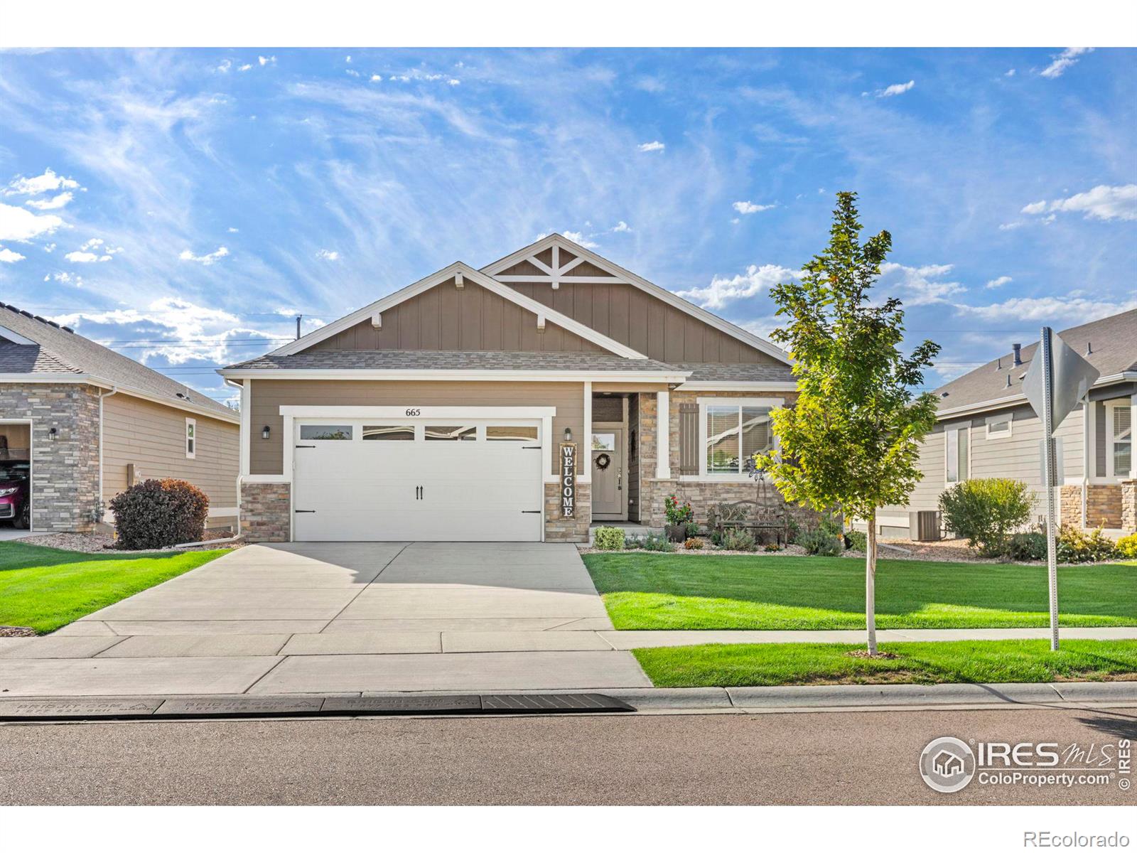 665 White Tail Avenue, Greeley, CO 80634, 4 Bedrooms Bedrooms, ,3 BathroomsBathrooms,Residential,For Sale,White Tail,RECIR1019707