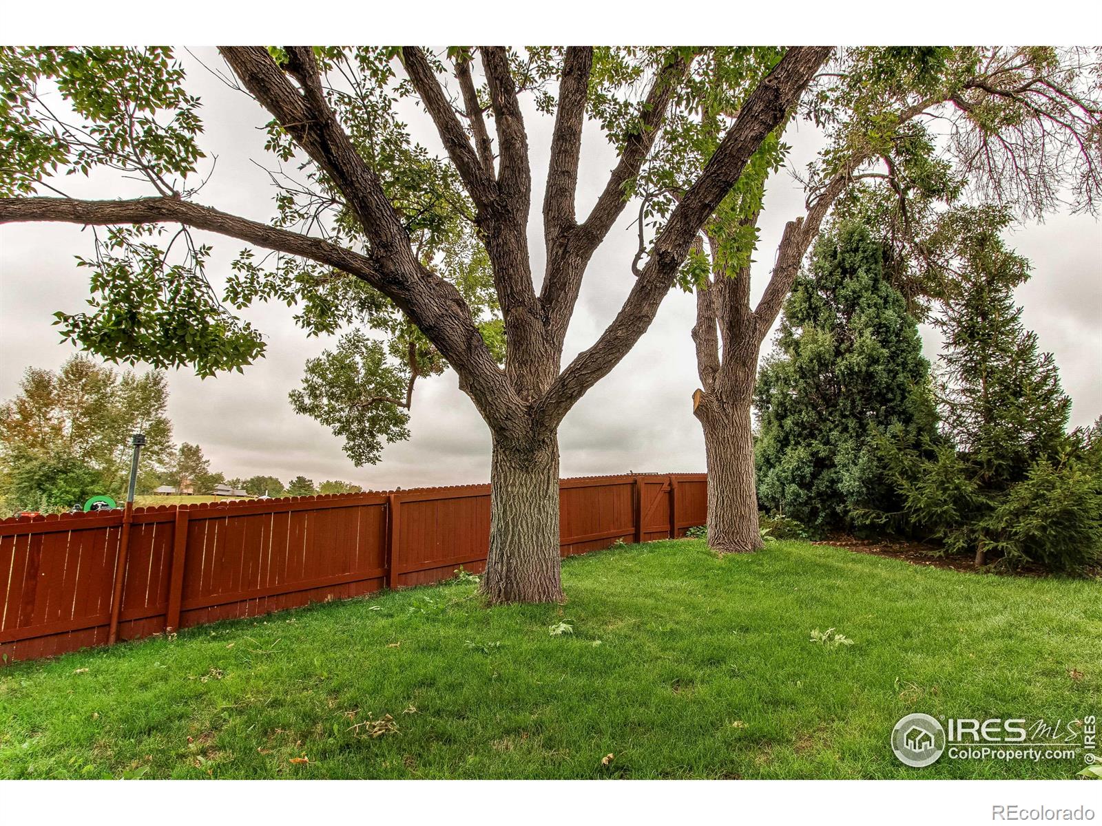 4261 109th Circle, Westminster, CO 80031, 3 Bedrooms Bedrooms, ,3 BathroomsBathrooms,Residential,For Sale,109th,RECIR1018028