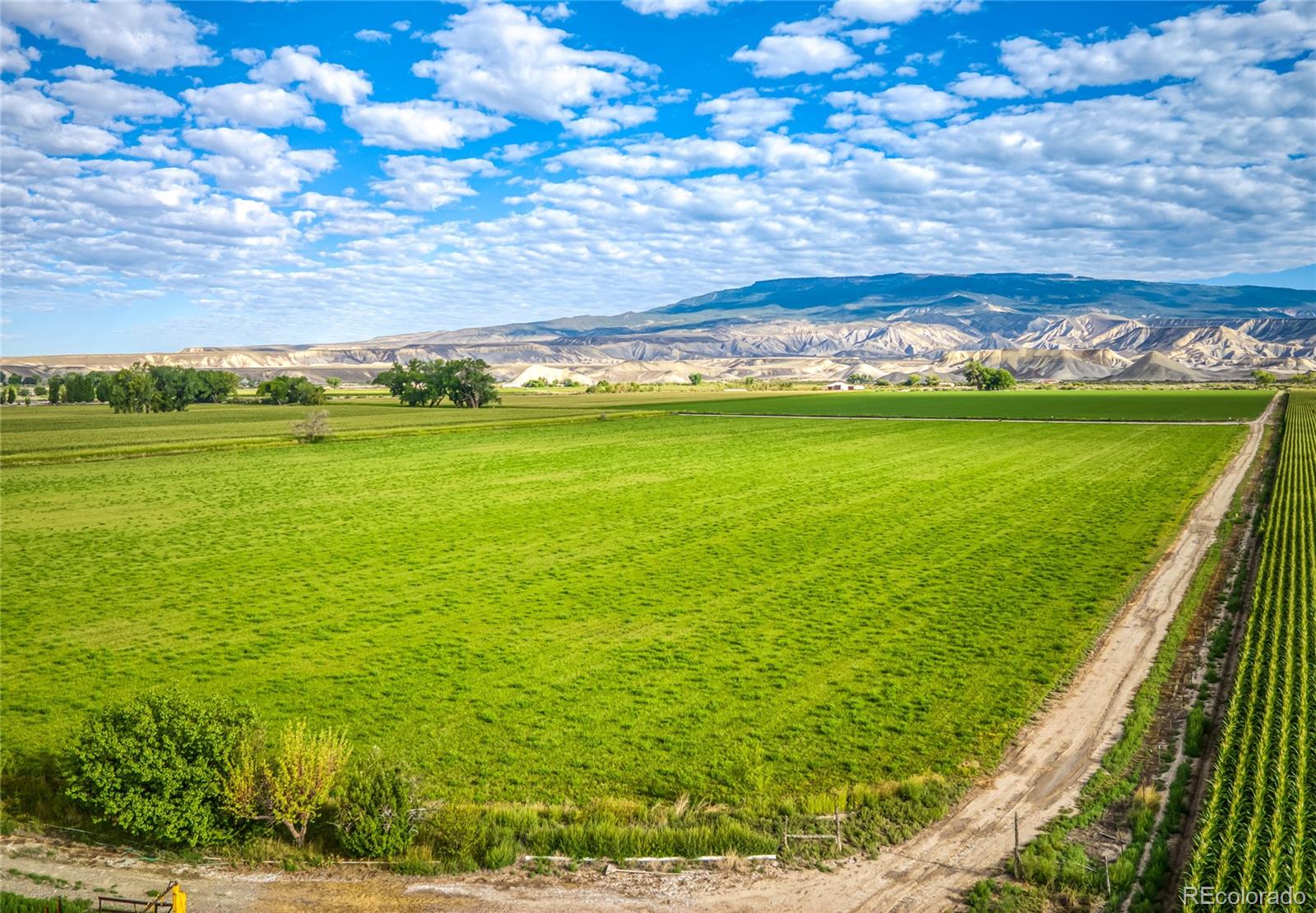 Restricted Address, Delta, CO 81416, 3 Bedrooms Bedrooms, ,1 BathroomBathrooms,Residential,For Sale,Highway 50,REC6028527
