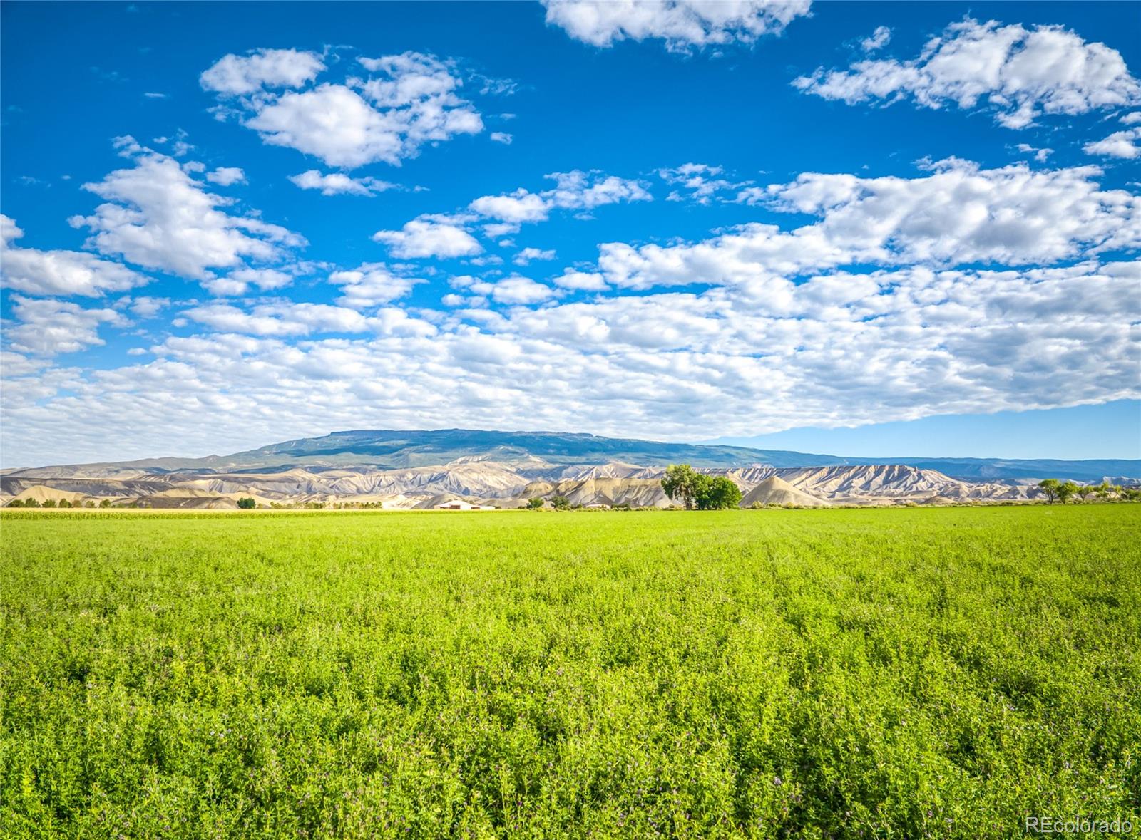 Restricted Address, Delta, CO 81416, 3 Bedrooms Bedrooms, ,1 BathroomBathrooms,Residential,For Sale,Highway 50,REC6028527