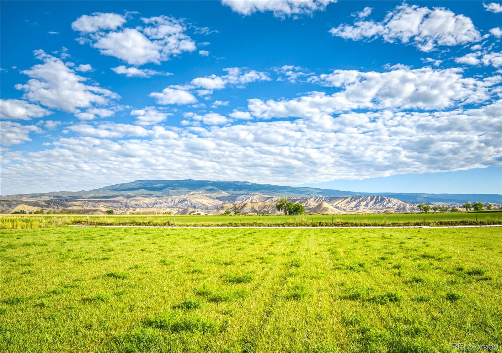 Restricted Address, Delta, CO 81416, 3 Bedrooms Bedrooms, ,1 BathroomBathrooms,Residential,For Sale,Highway 50,REC6028527