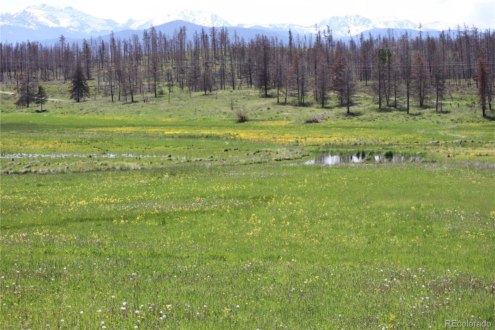 7763 US Highway 34, Granby, CO 80446, ,Commercial,For Sale,US Highway 34,REC3737393