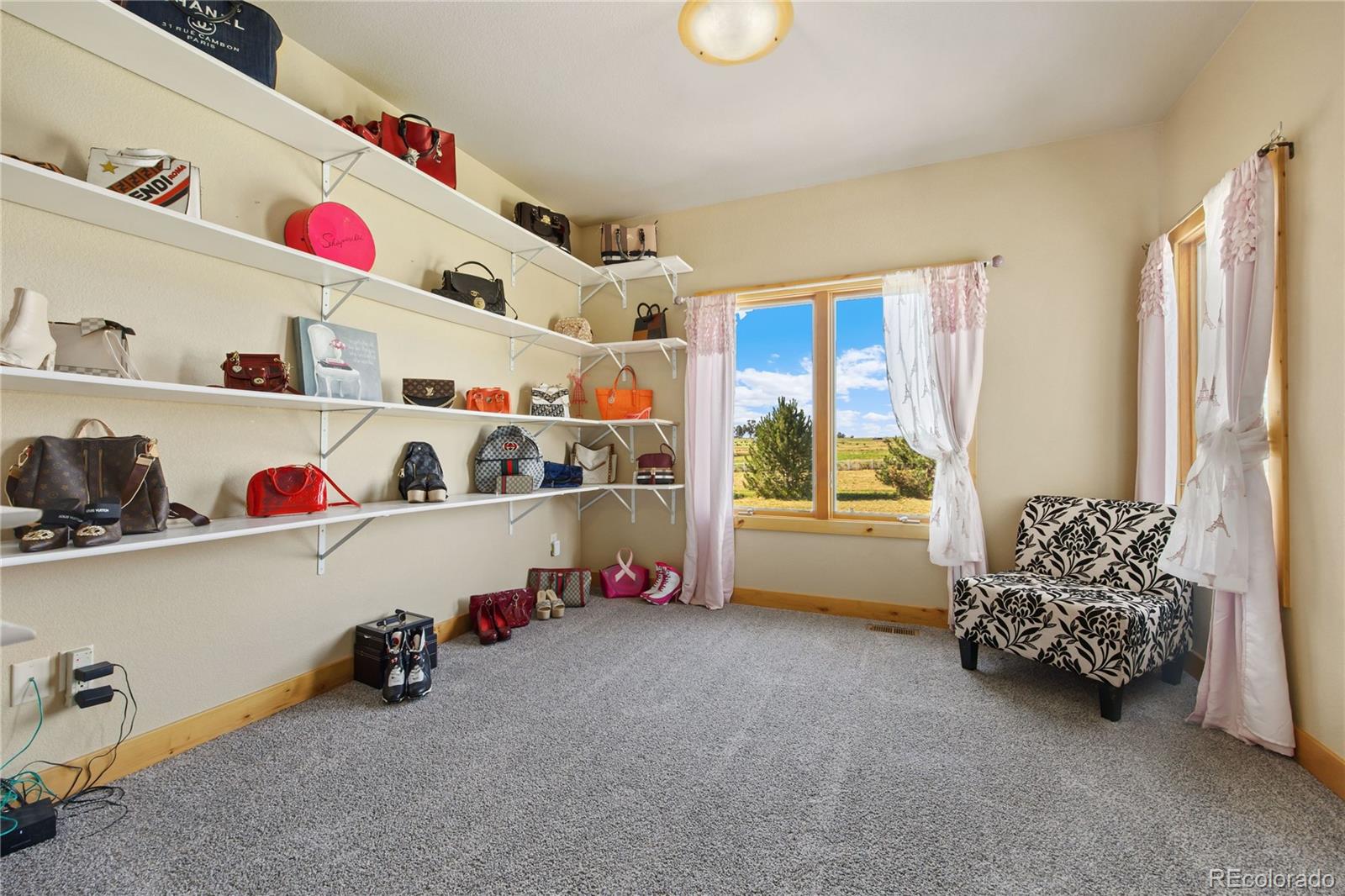 1029 Charlotte Court, Loveland, CO 80537, 4 Bedrooms Bedrooms, ,4 BathroomsBathrooms,Residential,For Sale,Charlotte,REC4595210