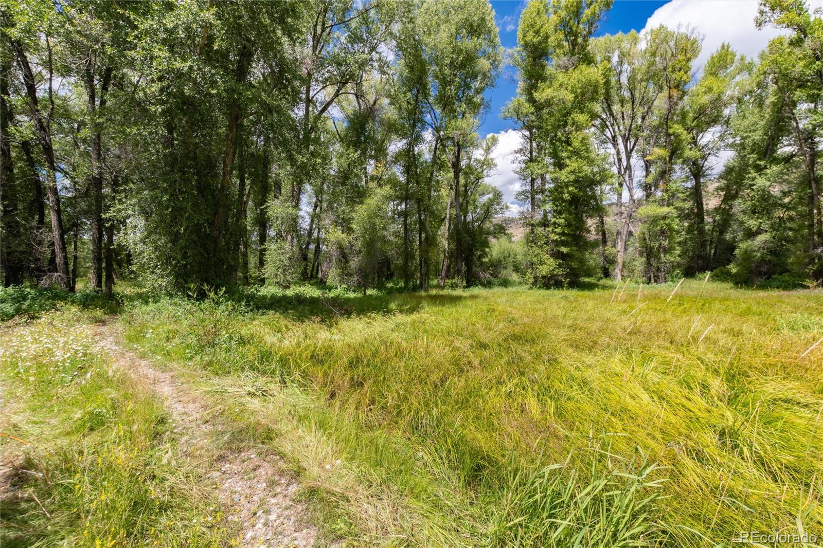 125 Main Street, Parshall, CO 80468, ,Land,For Sale,Main,REC9794337