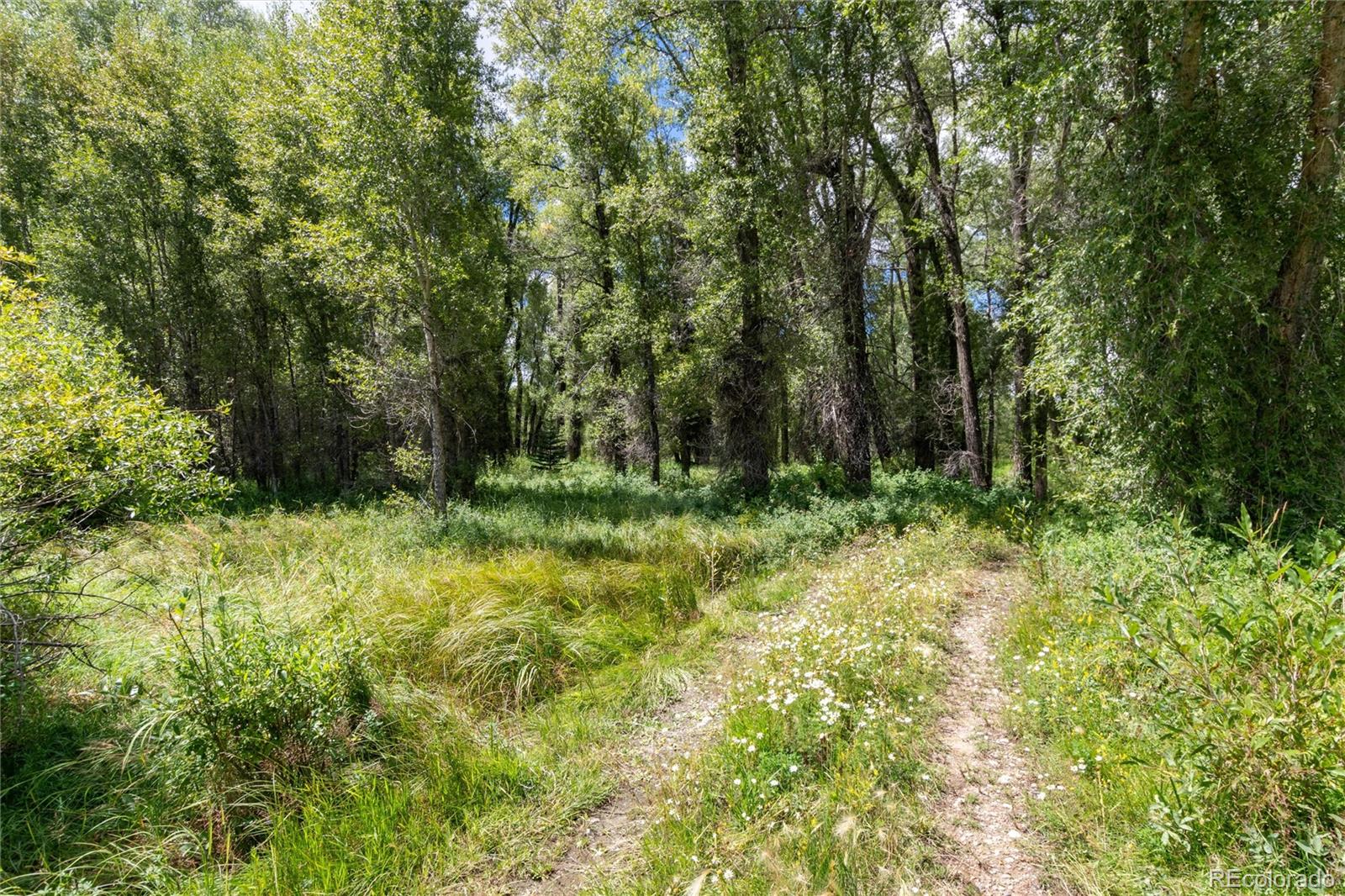 125 Main Street, Parshall, CO 80468, ,Land,For Sale,Main,REC9794337