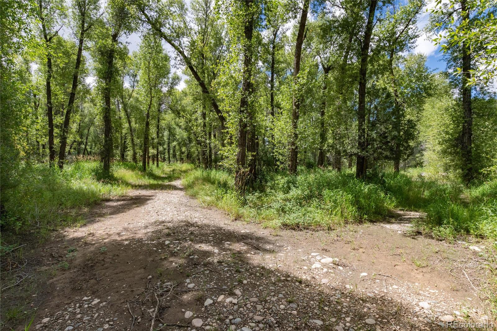 125 Main Street, Parshall, CO 80468, ,Land,For Sale,Main,REC9794337
