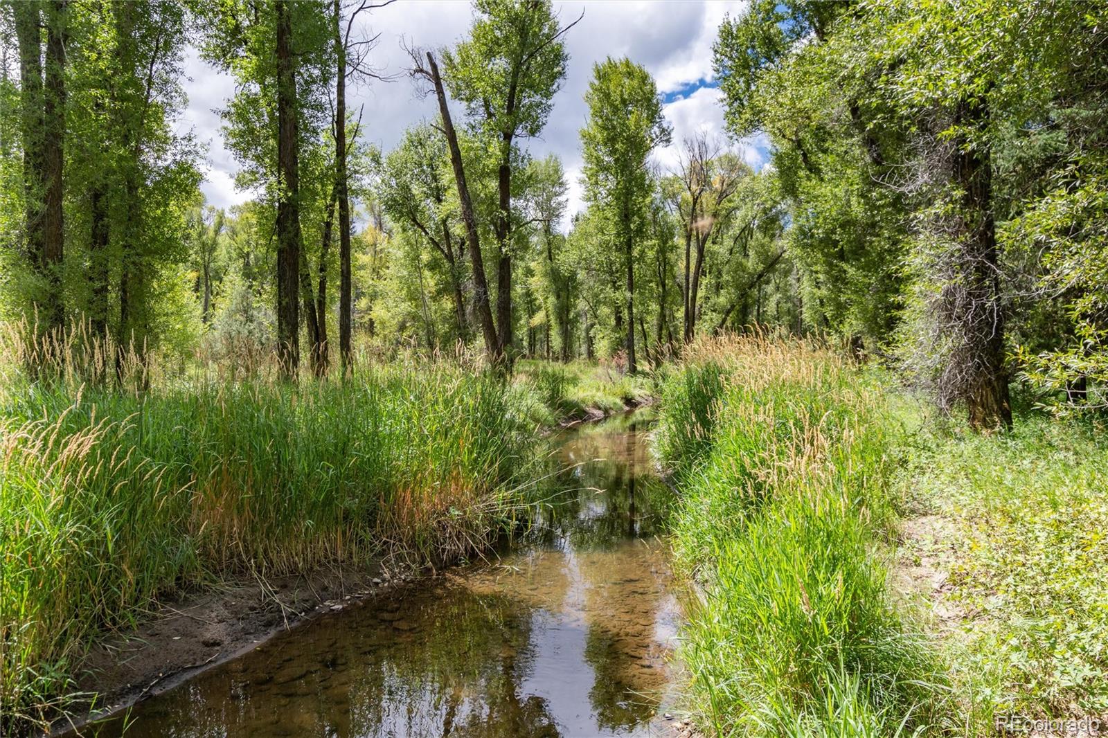 125 Main Street, Parshall, CO 80468, ,Land,For Sale,Main,REC9794337