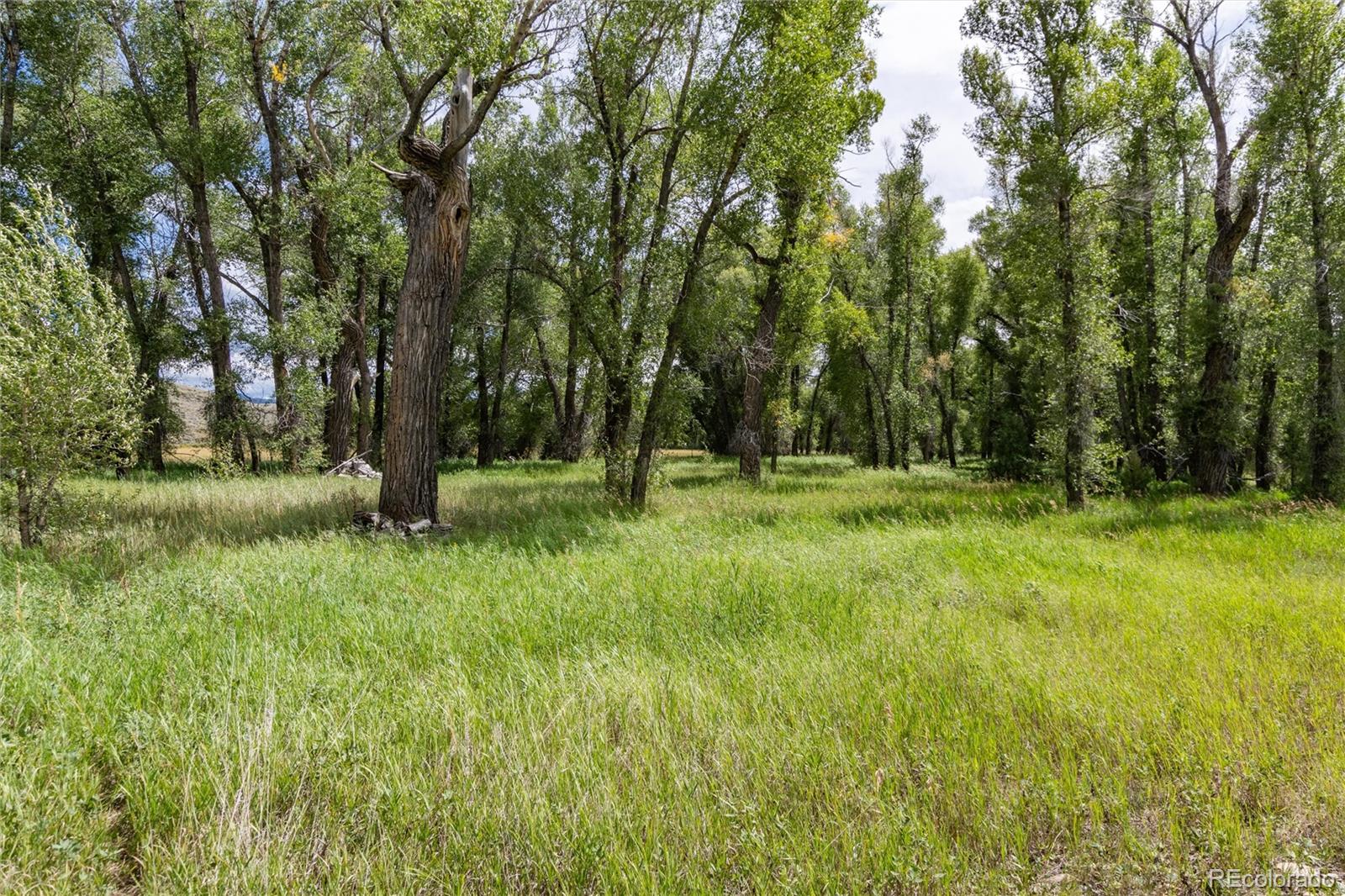 125 Main Street, Parshall, CO 80468, ,Land,For Sale,Main,REC9794337