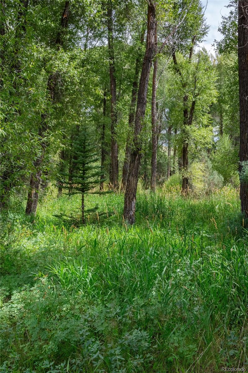 125 Main Street, Parshall, CO 80468, ,Land,For Sale,Main,REC9794337