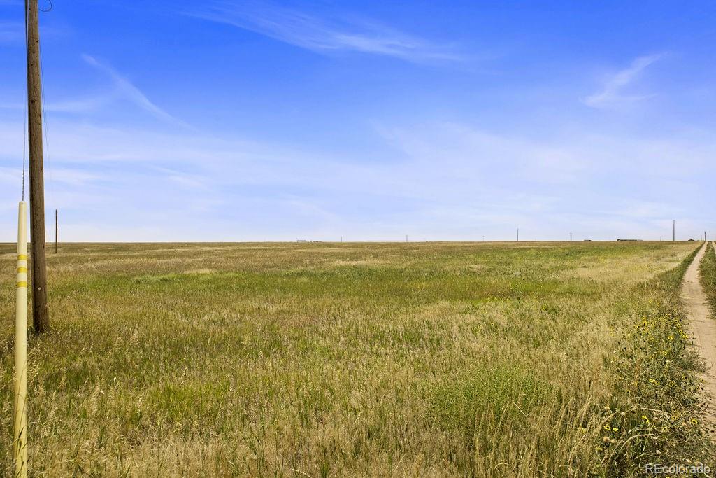 0 County Road 116, Nunn, CO 80648, ,Land,For Sale,County Road 116,REC9532675