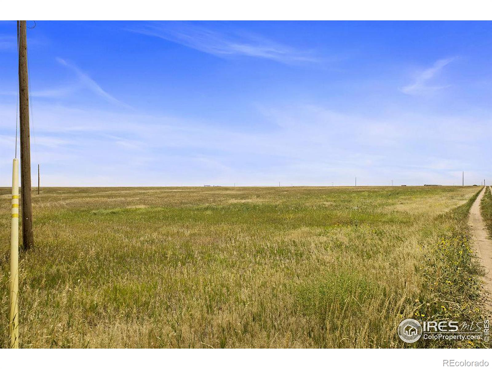 0 County Road 116, Nunn, CO 80648, ,Land,For Sale,County Road 116,RECIR1019815