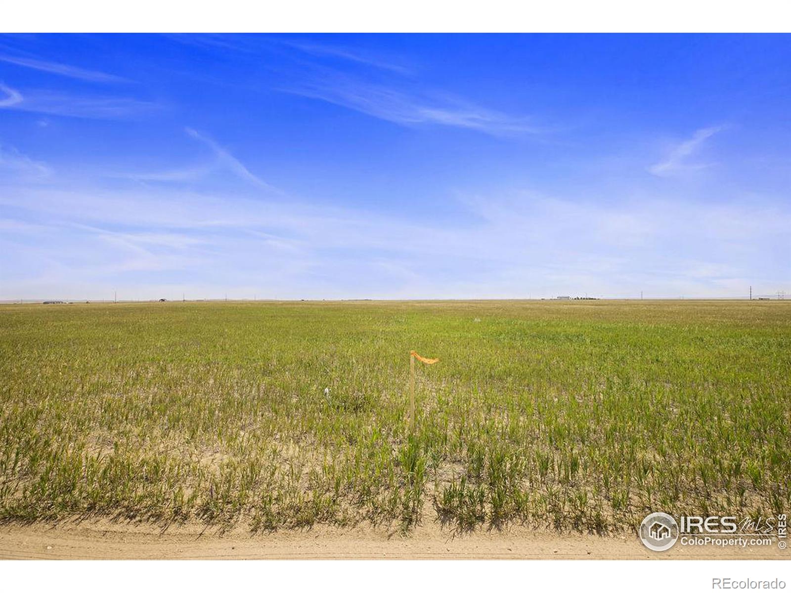 0 County Road 116, Nunn, CO 80648, ,Land,For Sale,County Road 116,RECIR1019815