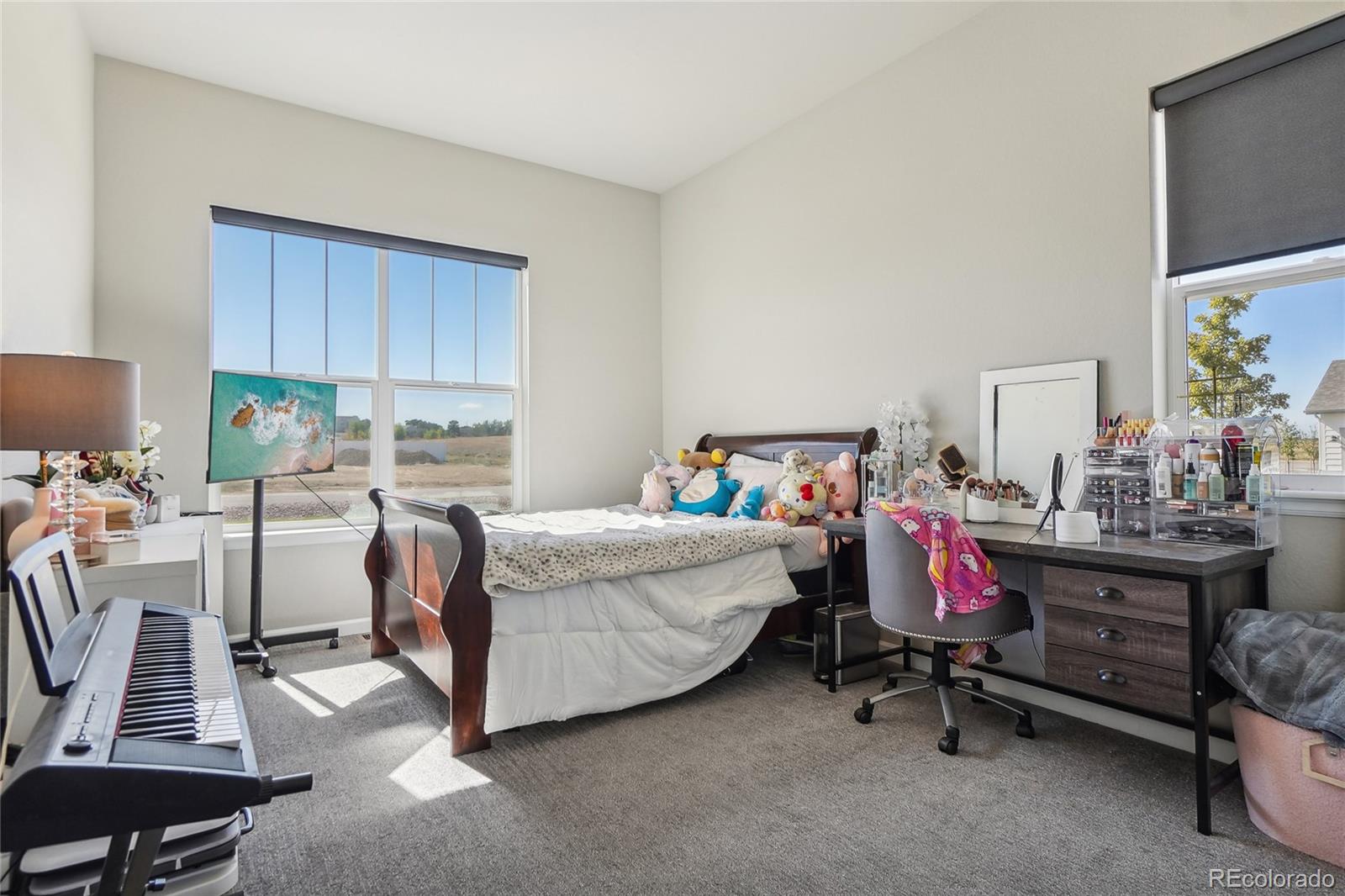 9935 E 163rd Place, Brighton, CO 80602, 6 Bedrooms Bedrooms, ,4 BathroomsBathrooms,Residential,For Sale,163rd,REC1524349