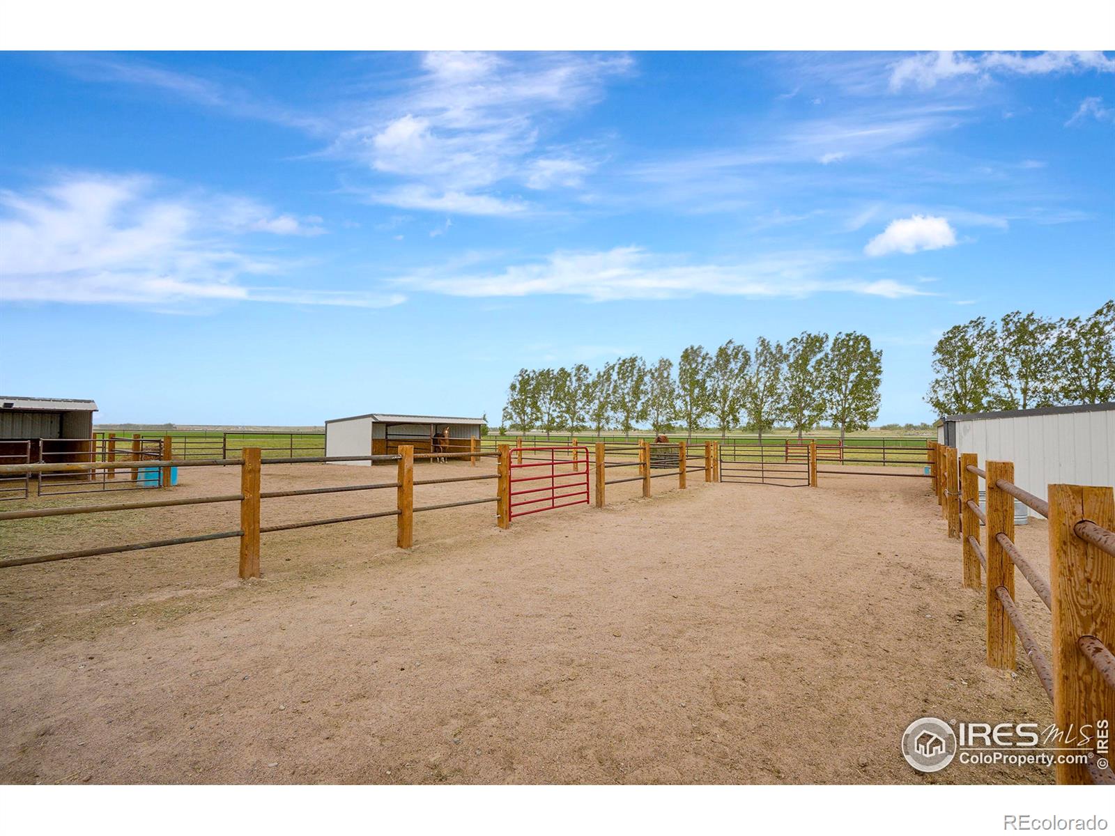 10784 County Road 7, Wellington, CO 80549, 3 Bedrooms Bedrooms, ,2 BathroomsBathrooms,Residential,For Sale,County Road 7,RECIR1020120