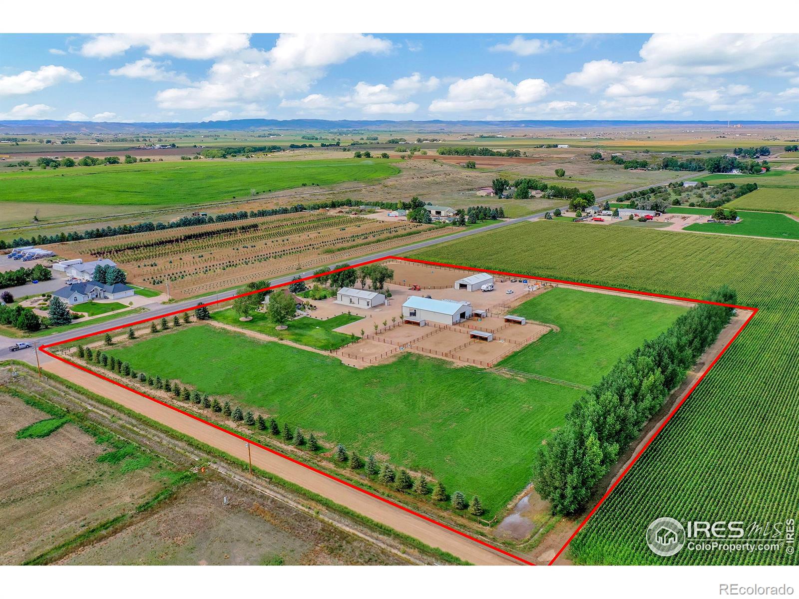 10784 County Road 7, Wellington, CO 80549, 3 Bedrooms Bedrooms, ,2 BathroomsBathrooms,Residential,For Sale,County Road 7,RECIR1020120