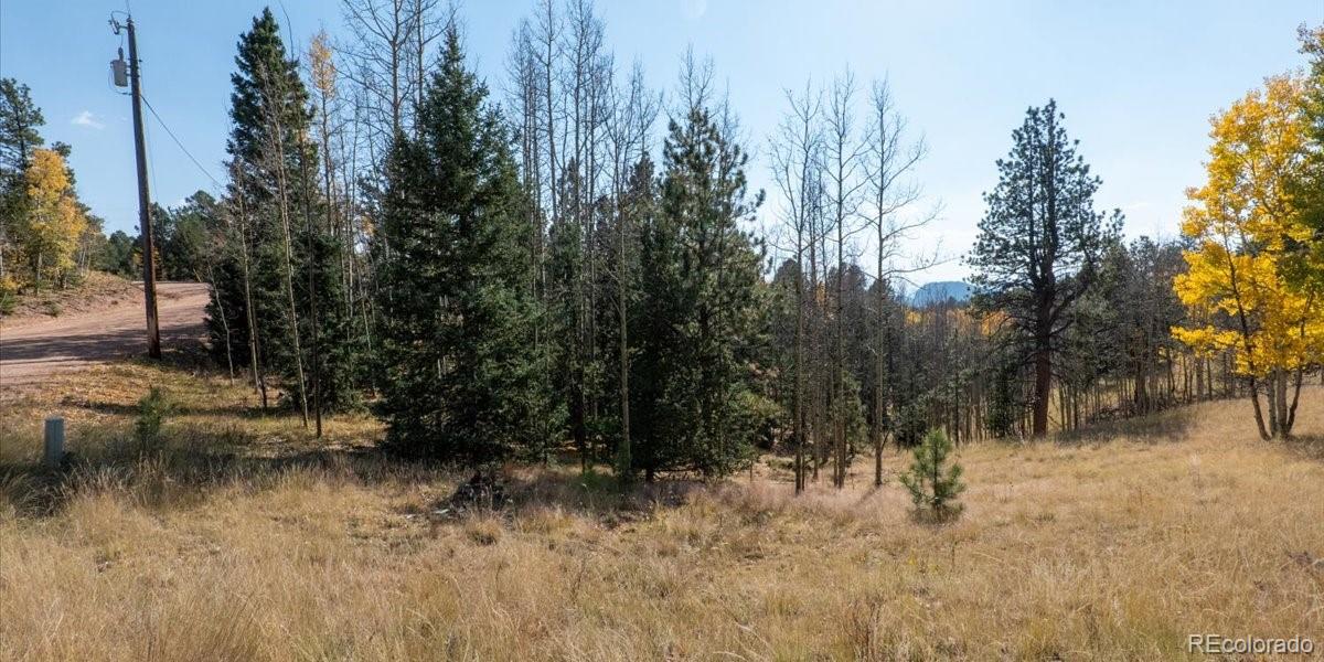 1734 May Queen Drive, Cripple Creek, CO 80813, ,Land,For Sale,May Queen,REC2351155