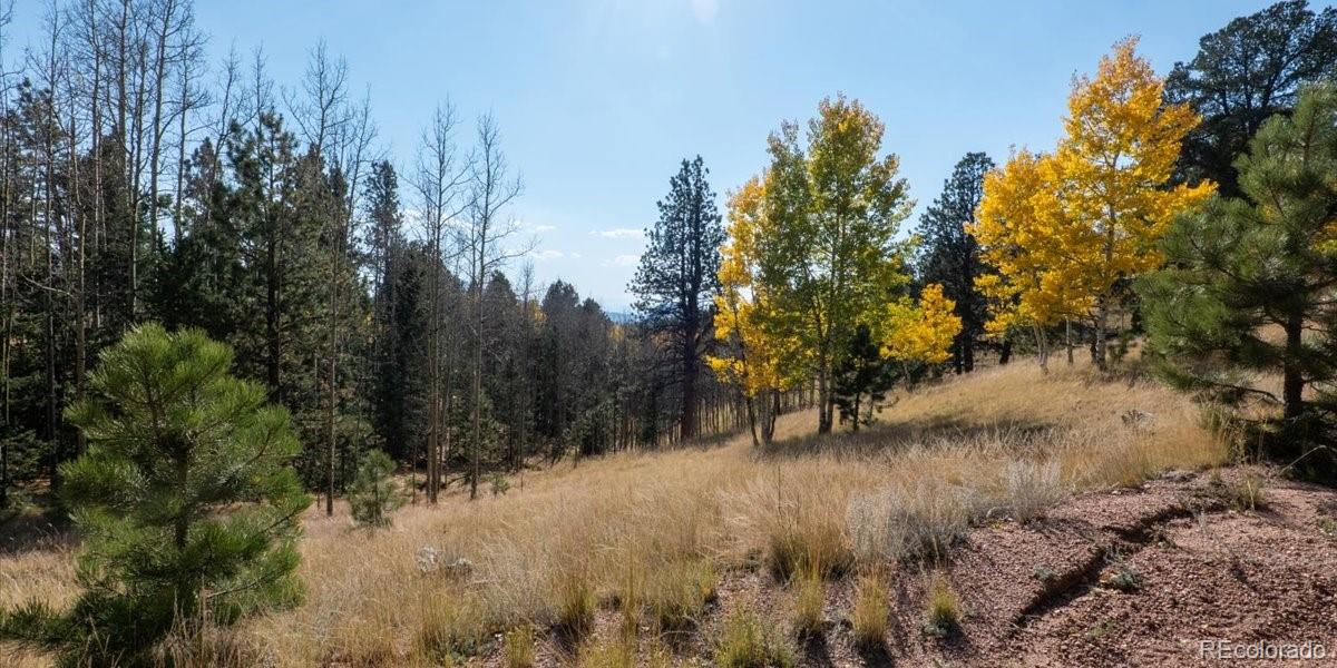 1734 May Queen Drive, Cripple Creek, CO 80813, ,Land,For Sale,May Queen,REC2351155