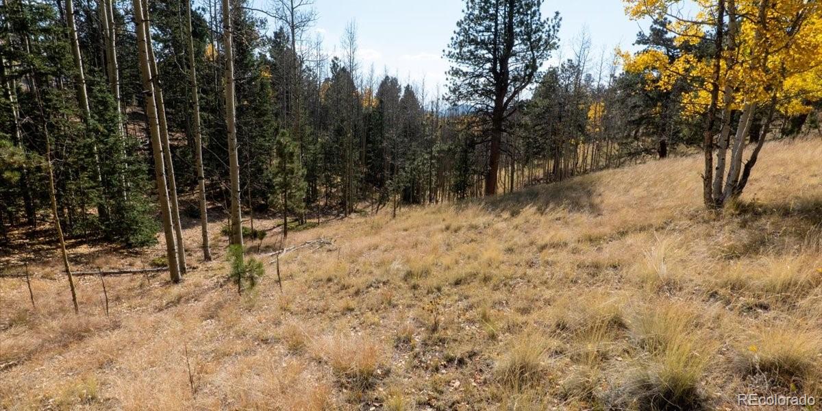 1734 May Queen Drive, Cripple Creek, CO 80813, ,Land,For Sale,May Queen,REC2351155