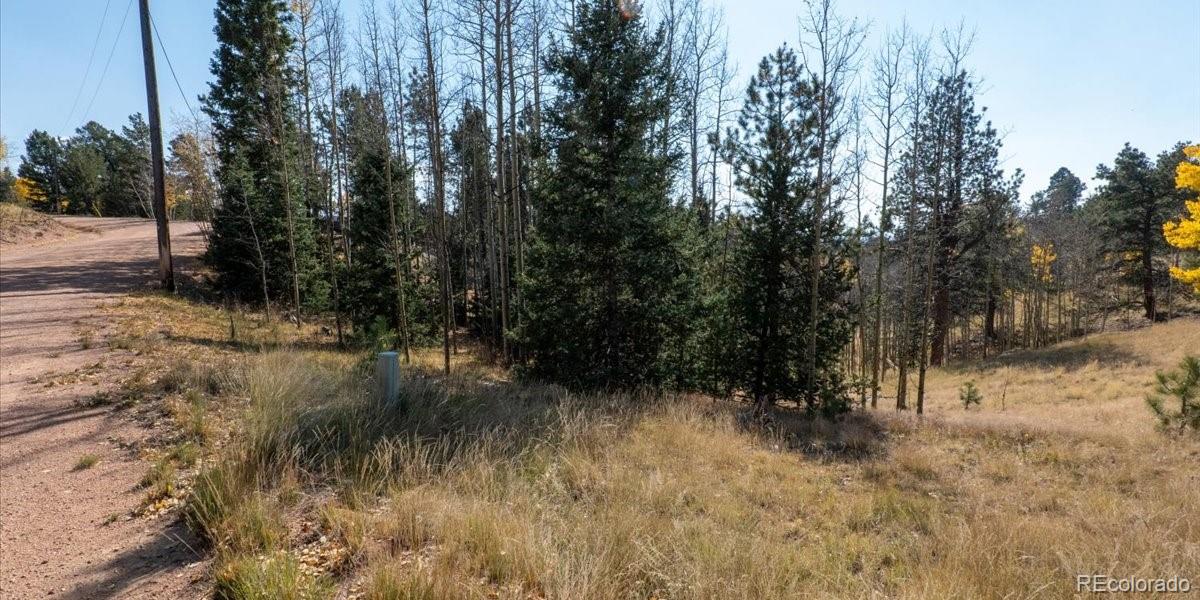 1734 May Queen Drive, Cripple Creek, CO 80813, ,Land,For Sale,May Queen,REC2351155