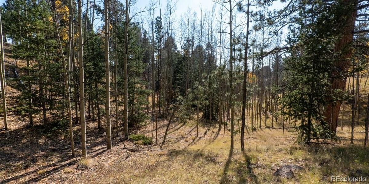 1734 May Queen Drive, Cripple Creek, CO 80813, ,Land,For Sale,May Queen,REC2351155