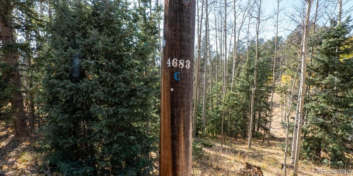 1734 May Queen Drive, Cripple Creek, CO 80813, ,Land,For Sale,May Queen,REC2351155