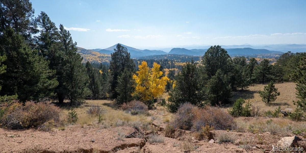 1734 May Queen Drive, Cripple Creek, CO 80813, ,Land,For Sale,May Queen,REC2351155