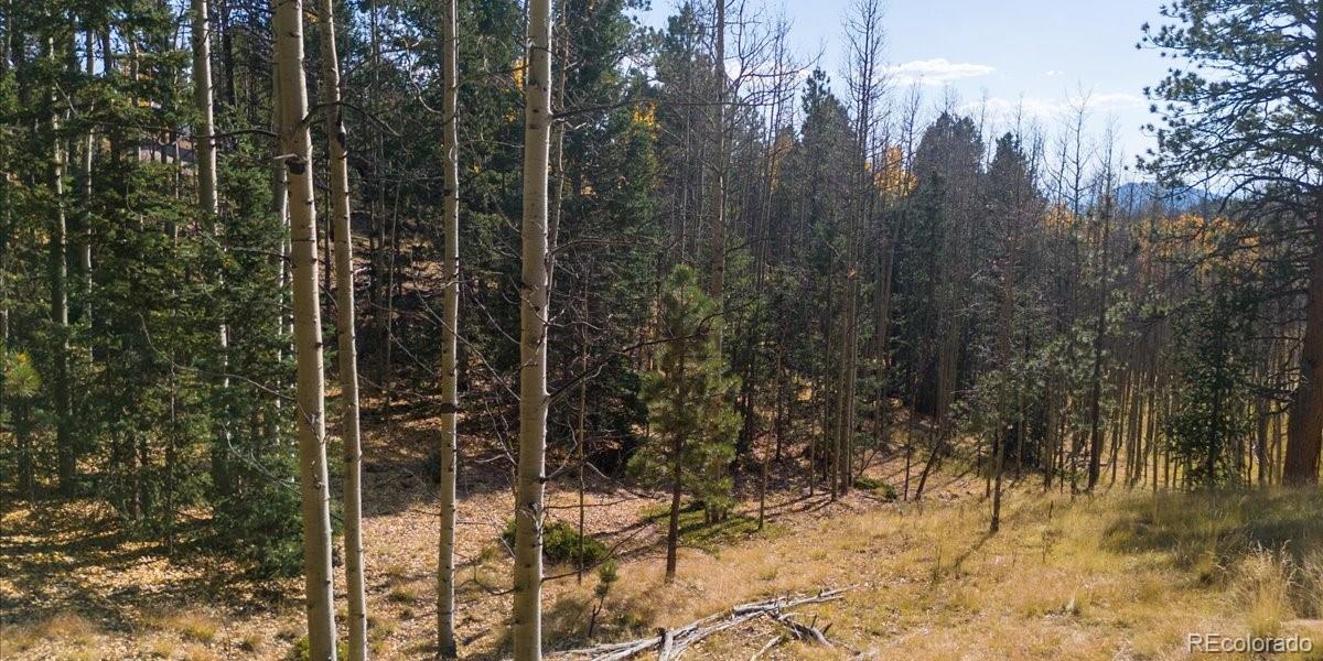 1734 May Queen Drive, Cripple Creek, CO 80813, ,Land,For Sale,May Queen,REC2351155