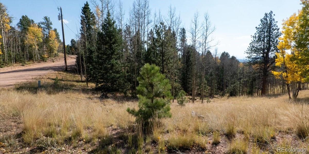 1734 May Queen Drive, Cripple Creek, CO 80813, ,Land,For Sale,May Queen,REC2351155