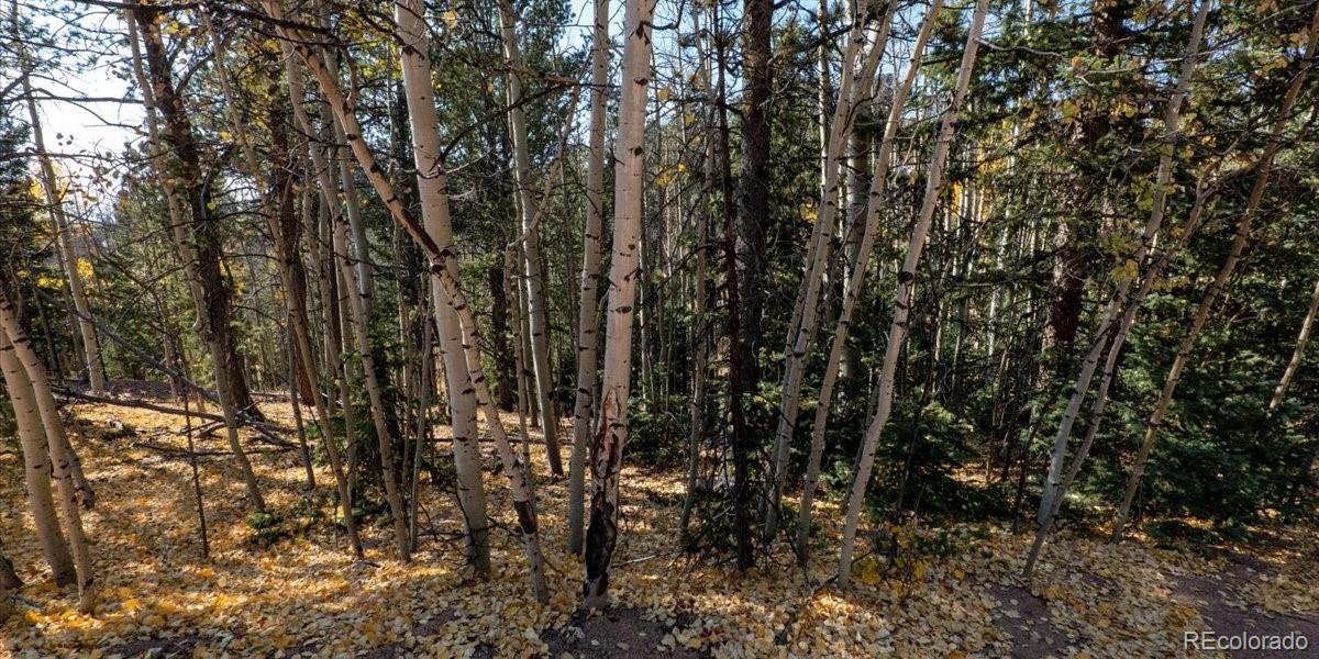 1734 May Queen Drive, Cripple Creek, CO 80813, ,Land,For Sale,May Queen,REC2351155