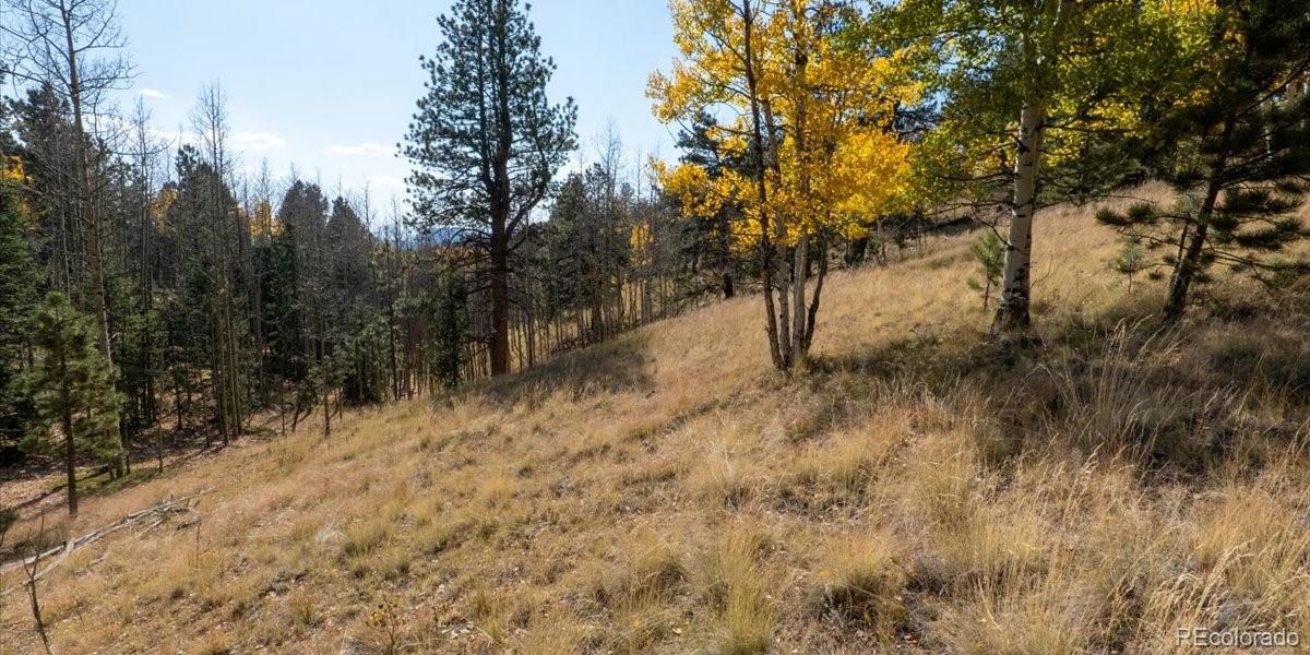 1734 May Queen Drive, Cripple Creek, CO 80813, ,Land,For Sale,May Queen,REC2351155