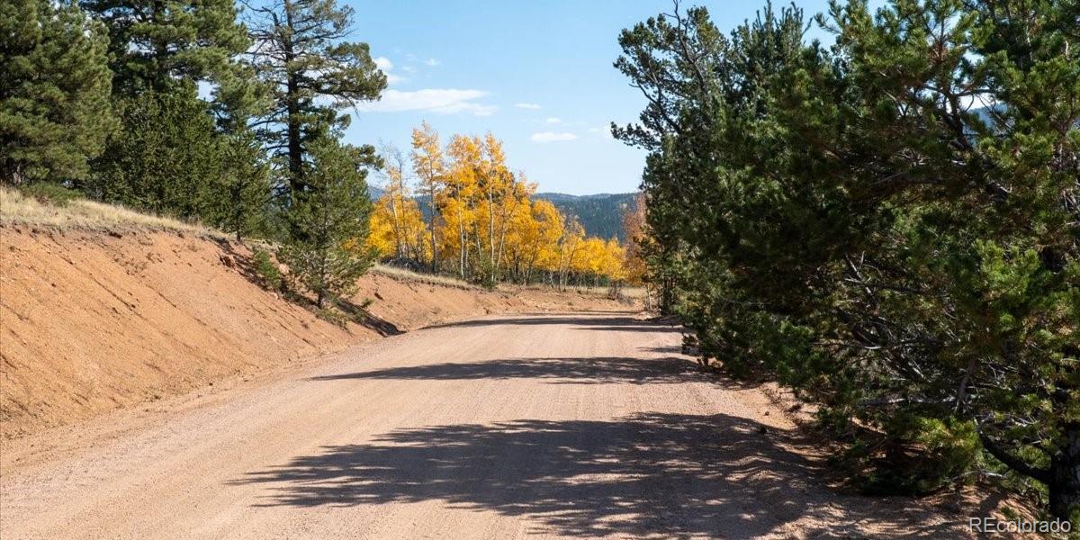 1734 May Queen Drive, Cripple Creek, CO 80813, ,Land,For Sale,May Queen,REC2351155