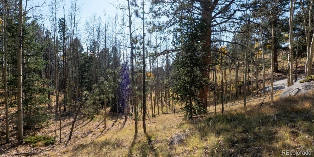 1734 May Queen Drive, Cripple Creek, CO 80813, ,Land,For Sale,May Queen,REC2351155