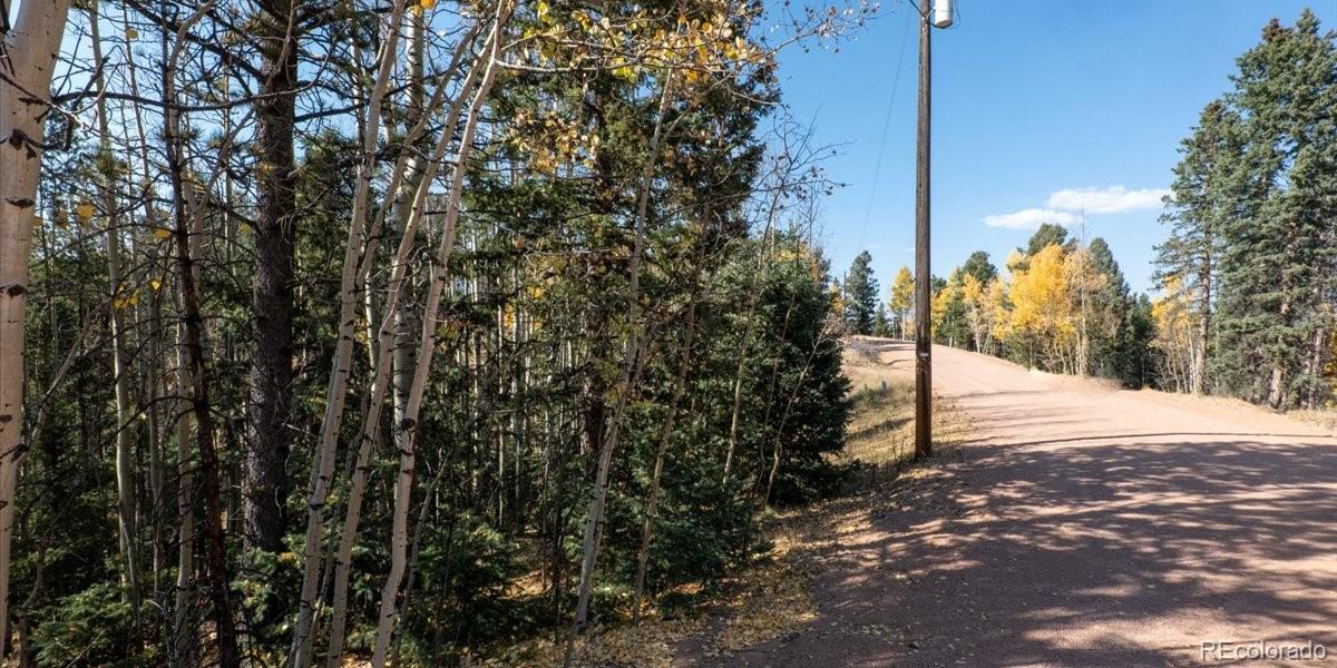 1734 May Queen Drive, Cripple Creek, CO 80813, ,Land,For Sale,May Queen,REC2351155