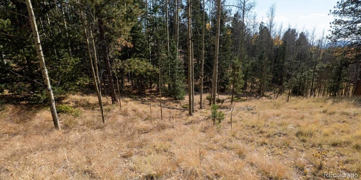 1734 May Queen Drive, Cripple Creek, CO 80813, ,Land,For Sale,May Queen,REC2351155