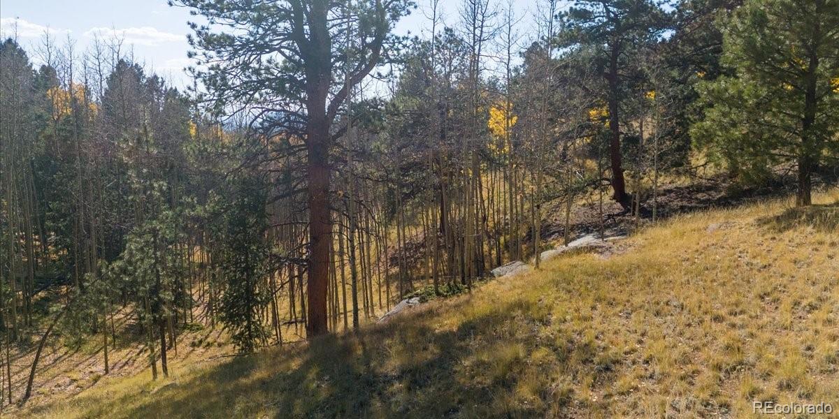 1734 May Queen Drive, Cripple Creek, CO 80813, ,Land,For Sale,May Queen,REC2351155