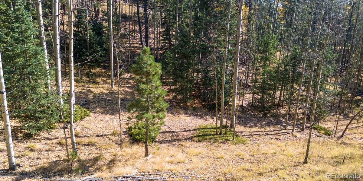 1734 May Queen Drive, Cripple Creek, CO 80813, ,Land,For Sale,May Queen,REC2351155