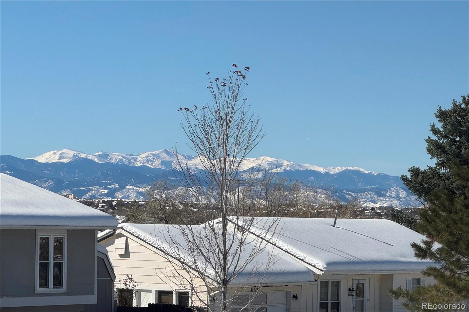 11154 Donley Drive, Parker, CO 80138, 4 Bedrooms Bedrooms, ,2 BathroomsBathrooms,Residential,For Sale,Donley,REC6675000