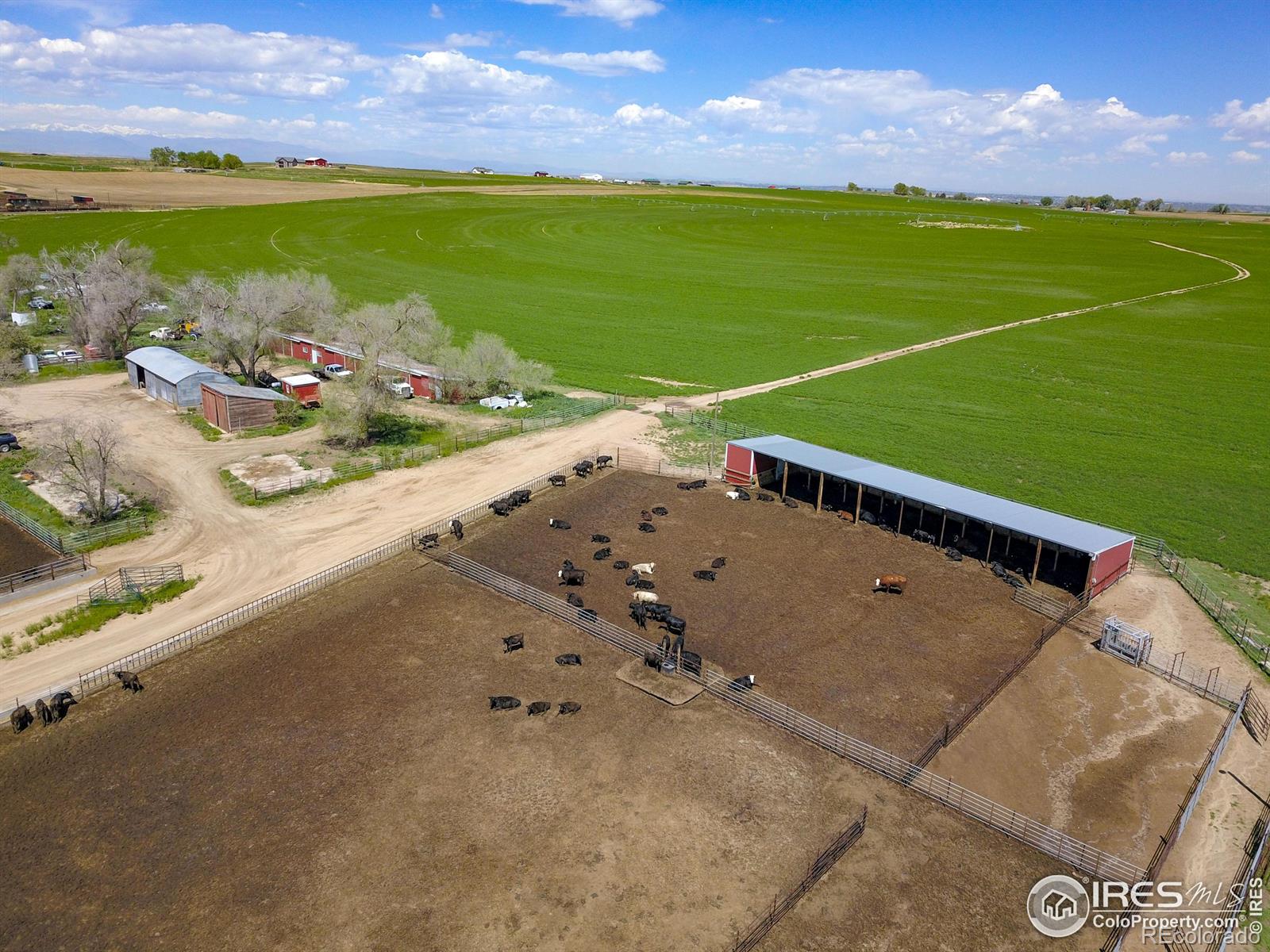20565 County Road 40, La Salle, CO 80645, ,Residential,For Sale,County Road 40,RECIR1021053