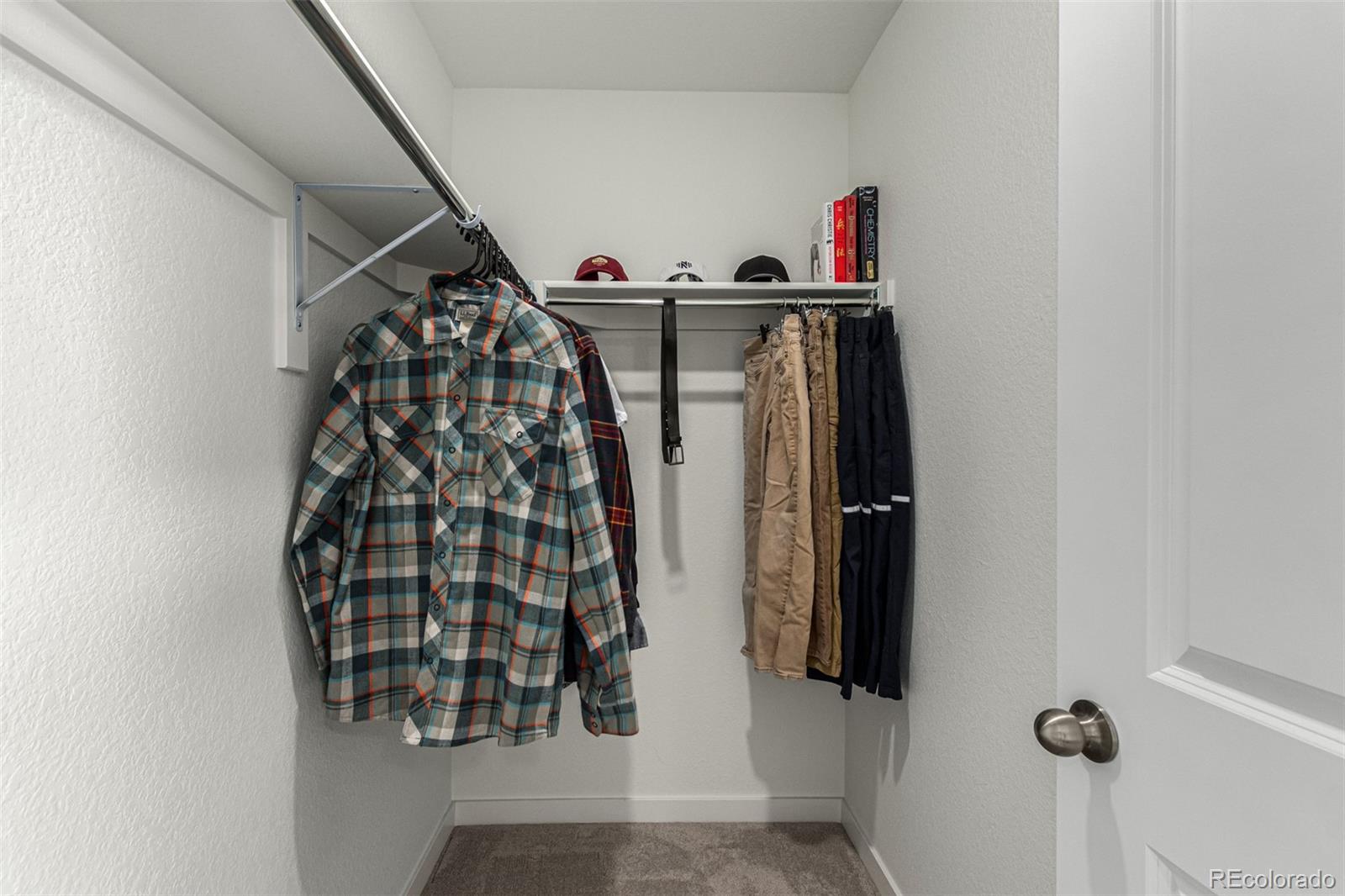 6264 Wild Rye Street, Loveland, CO 80538, 3 Bedrooms Bedrooms, ,3 BathroomsBathrooms,Residential,For Sale,Wild Rye,REC9796785