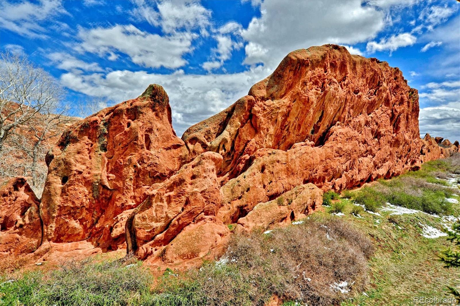 6820 Briar Rose Trail, Littleton, CO 80125, 2 Bedrooms Bedrooms, ,2 BathroomsBathrooms,Residential,For Sale,Briar Rose,REC9893713