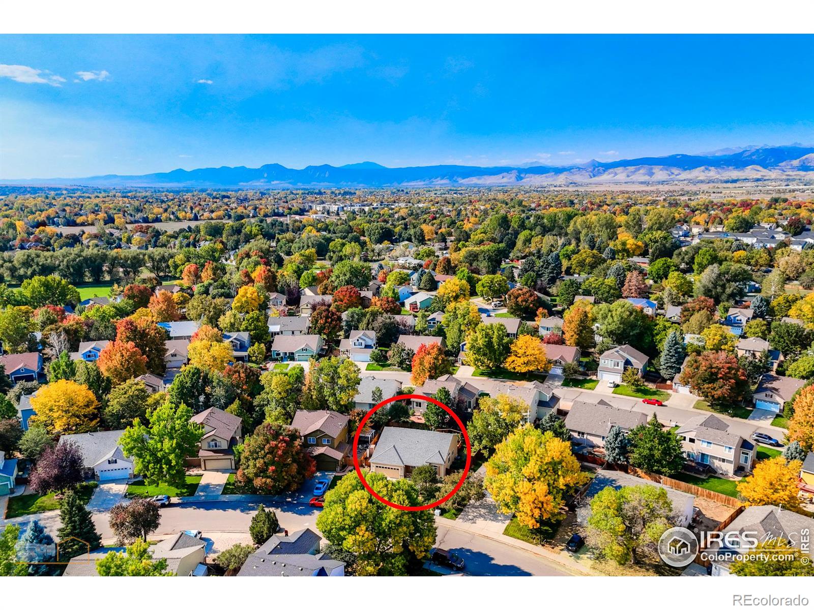 701 Nelson Park Lane, Longmont, CO 80503, 3 Bedrooms Bedrooms, ,3 BathroomsBathrooms,Residential,For Sale,Nelson Park,RECIR1020509